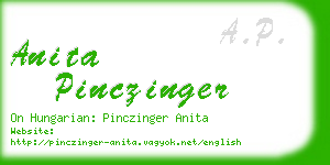 anita pinczinger business card